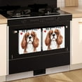 thumbnail image 2 of 2 Pcs Funny Kitchen Towels,Cavalier King Charles Spaniel Kitchen Feet Microfiber Dish Towels,Kitchen Tea Towels,Kitchen Towel Set (18" X 26"), 2 of 3