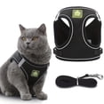 thumbnail image 1 of Harnais et Laisse pour Chat Léger et Réfléchissant - Parfait pour la Marche et l'Entraînement en Extérieur!, 1 of 5