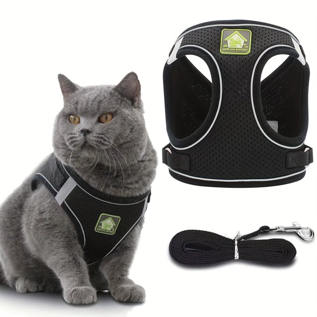 Harnais et Laisse pour Chat Léger et Réfléchissant - Parfait pour la Marche et l'Entraînement en Extérieur!