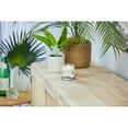 thumbnail image 4 of Yankee Candle Small Tumbler Scented Single Wick Jar Candle, Coconut Beach, 4.3 oz (Pack of 2), 4 of 6