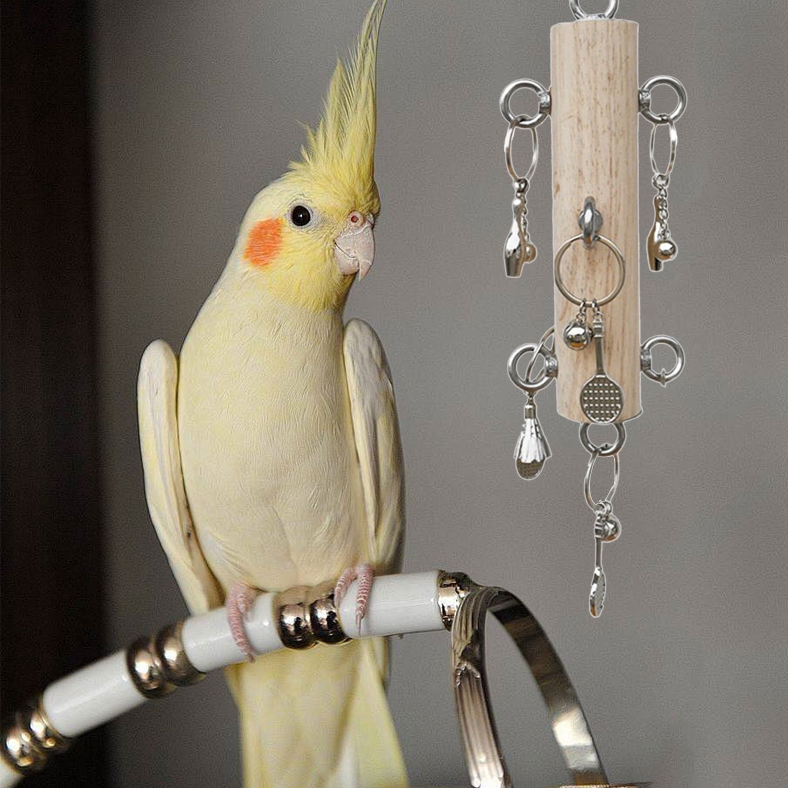 Bird Tearing Puzzle Toy Bird Cage Chewing Toy Perch with Metal Rings for Small Bird Birdcage Enrich Toy