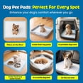 thumbnail image 3 of FPN Puppy Pads  Small 18"x13" - 100 Count Training Pads  – Leak-Proof, Fast-Drying, Odor Control, Disposable Dog Pads for Puppies and Pets, 3 of 11
