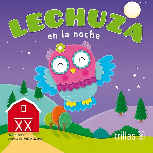 Lechuza En La Noche