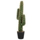 thumbnail image 3 of Cactus Saguaro artificial, plantas de imitación, Cactus de simulación en maceta, planta falsa, bonsái, 3 of 6
