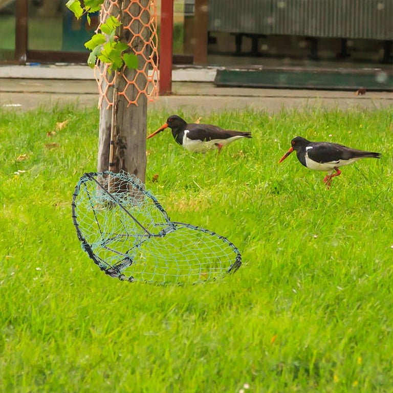 Where 2 PCS Traps for Small Animals Bird Net Mesh Reusable Pigeon  Multifunction Steel Frame 