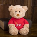 Teddy bear plush gift, be brave.