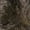 Atera Camo, variant on Archer Truesuedeâ„¢ Ultra Quiet Hunting Pants, S-3XL