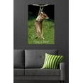 thumbnail image 4 of Famous Kitten Hang In There Poster Wall Poster, 22.375" x 34", 4 of 4