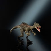 Jurassic World Hammond Collection Troodon Dinosaur Action Figure, 14 Points Articulation