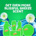 Gain Liquid Laundry Detergent, Blissful Breeze, 10 Fl Oz, 6 Loads