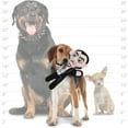thumbnail image 6 of TUFFY® Holiday Dracula, Halloween Durable Squeaky Dog Toy, 6 of 8