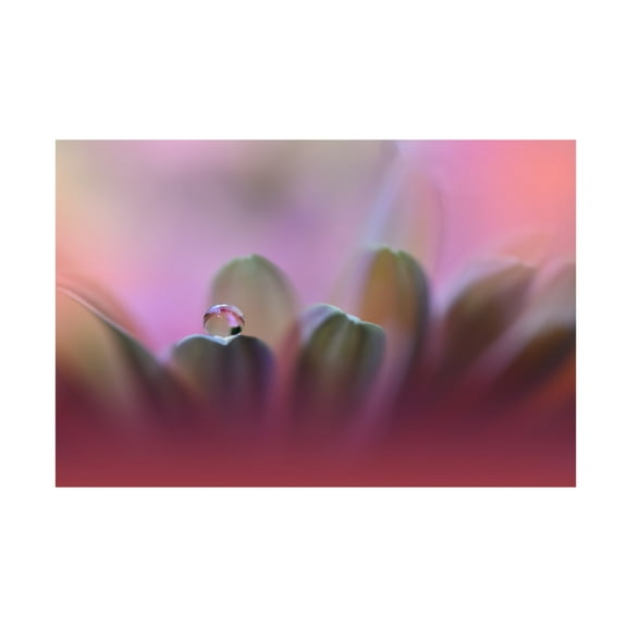 Canvas Wall Art - Juliana Nan 'Untitled' Wall Art for Living Room, Bedroom, or Office Décor by Trademark Fine Art - 19 x 12 Inches