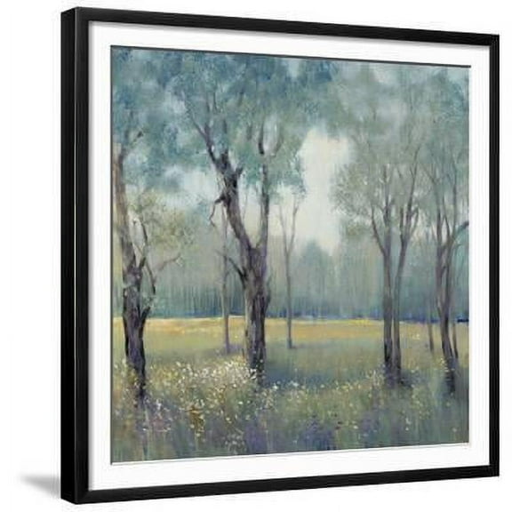 Morning Mist, Botanical Scenic Framed Art Print Wall Art by Tim OToole Sold by Art.Com
