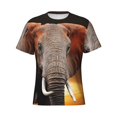 thumbnail image 3 of Naloa Elephant Sunset in Kenya Men's T-Shirt Sport T-shirt Men's Basic Tee Casual Men's Shirt, Round Neck, Short Sleeves - Medium, 3 of 5