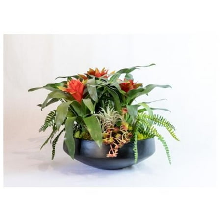 T Floral Company 19 x 14 in. Bromeliads And Succulents In Concrete Bowl - Orange & Red