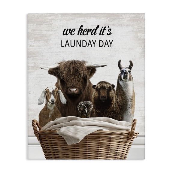 Stupell Industries Herd It's Laundry Day Animals Quotes and Sayings Painting Wrapped Canvas Canvas Art Print Wall Art, 16 x 20