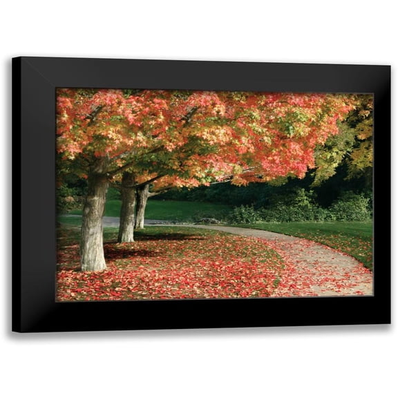 Geyman, Vitaly 14x11 Black Modern Framed Museum Art Print Titled - Fall Maple Fever IV