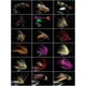 thumbnail image 3 of Cebos Pesca Señuelos Con Mosca Señuelo Moscas 32 Piezas Caja Portátil, 3 of 9