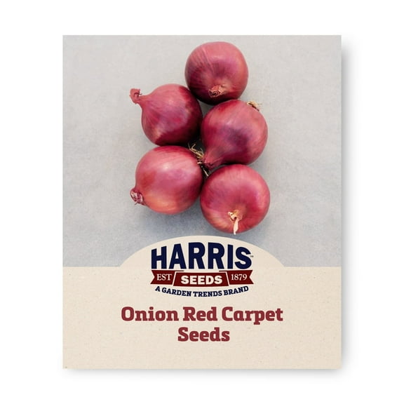 Harris Seeds - Onion Red Carpet F1 Organic Seeds - Globe-Shaped Bulbs - 250 Seeds