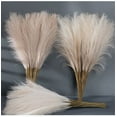 thumbnail image 2 of 5/10/20PCS Fluffy Pampas Grass Boho Decor Artificial Flower Fake Plant Reed Simulated Party Wedding Home Decoration 42CM, 2 of 9