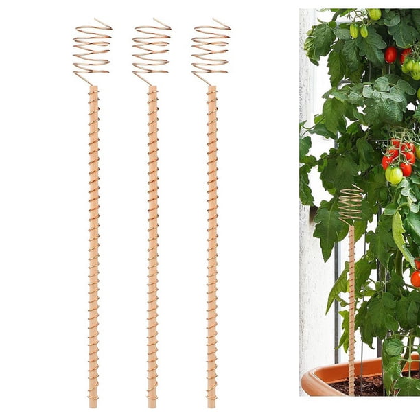 Marco de soporte de plantas de jardín de cobre | Estaca de verduras y flores | Herramienta de jardinería robusta y resistente a la intemperie | Ahorro de espacio para jardines pequeños, balcones