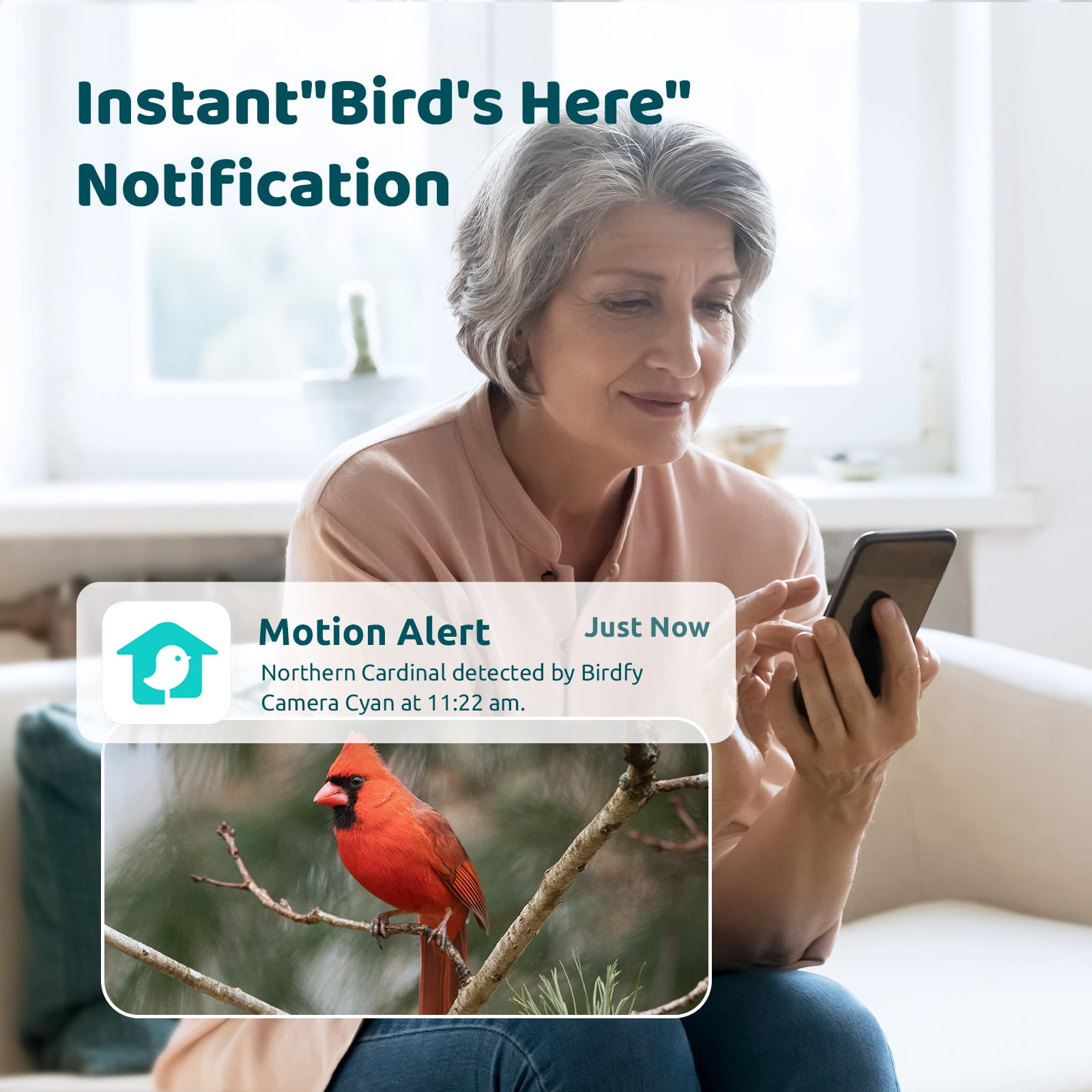 Birdfy Smart Bird Feeder Camera for Wild Bird Watching & Recording – Wall & Pole Mount Compatible, Cyan