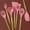 Rose 7 pcs, variante sur YOPTOP Ensemble de 7 Pcs d'Ustensiles de Cuisine en Silicone de Qualité Supérieure - Ensembles de Moules à Pâtisserie - Fouet à Manche en Bois Antiadhésif Résistant à la Chaleur de Qualité Alimentaire, Essentiels de Cuisine pour la Pâtisserie, la Cuisson et le Service - B,Noir 7 Pcs