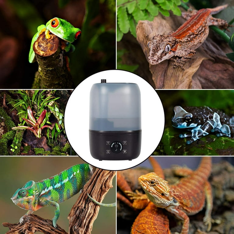 Evergreen pet supplies reptile fogger online