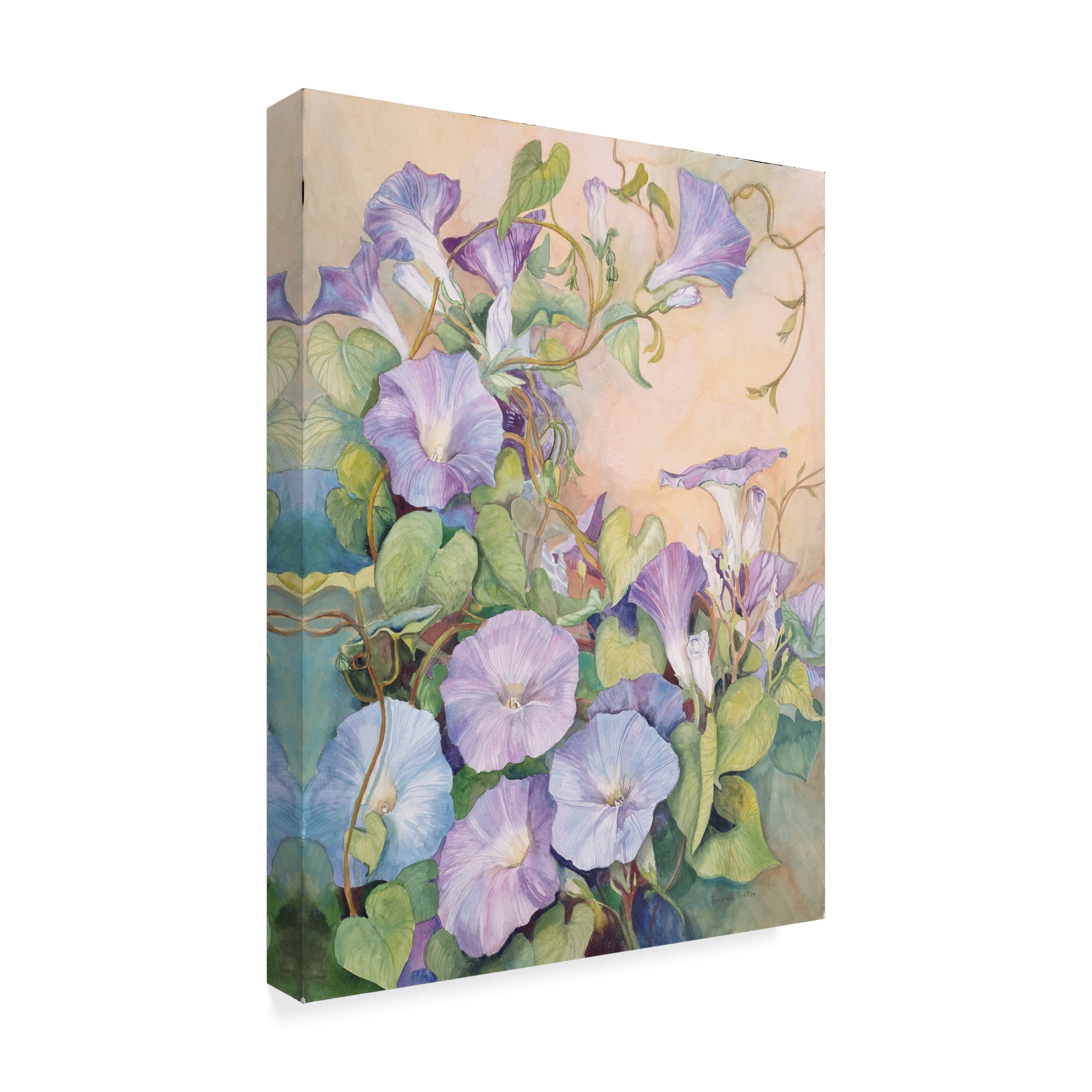 Trademark Fine Art 'Day Break' Canvas Art by Joanne Porter