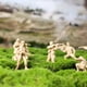 thumbnail image 4 of Toy Soldiers Shindel Army Men 100 unidades, verde y amarillo, 10 poses, 4 of 6