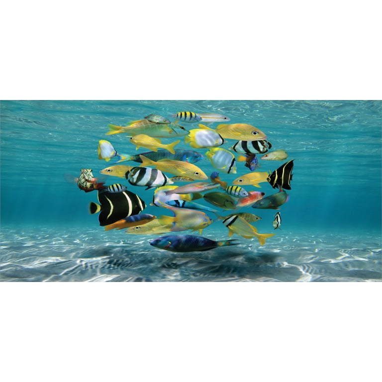 Fish Piggy Bank, Shoal of Fish Forming A Circle Above A Sandy Seabed in Clear Water Caribbean Ocean, Ceramic Coin Bank Money Box for Cash Saving, 3.6