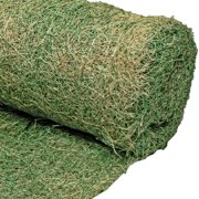 DeWitt Single Net Excelsior Erosion Control Blanket - Fiber Mat - 4 x 112.5 ft, Green