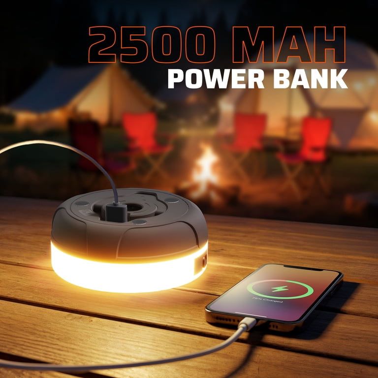 Roamcraft™ Portable LED Camping String Light with Built-in Power