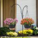 thumbnail image 5 of Jardinera Colgante de 10 Pulgadas para Plantas de Interior, Paquete de 2 Cestas Colgantes con Riego Automático, Macetas con Orificio de Drenaje, Color Negro, 5 of 5