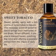 thumbnail image 3 of MAYJAM 3.38FL.OZ Sweet Tobacco Essential Oils, Fragrance Oils for Candle Making, Long Lasting Scented Oils for Aromatherapy DIY Soap, 3 of 11