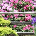 thumbnail image 3 of 5Pack Wall-mounted Planter with Rectangular Shape for Space-saving and Aesthetic Purposes, 3 of 5