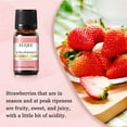thumbnail image 5 of EUQEE 6PCS Premium Grade Fruit Fragrance Oils Gift Set for So Sweet - Strawberry, Cherry, Litchi, Apple, Mango, Peach - Scented Oils for Aromatherapy Diffuser, Candle Making, DIY, 5 of 11