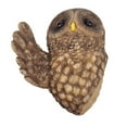thumbnail image 1 of Creative Owl Statue Tree Hanging Ornament Garden Resin Decor Yard Scene Adornment, 1 of 6