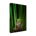 thumbnail image 4 of Ahmad Gafuri 'Green Frog' Canvas Art, 4 of 4