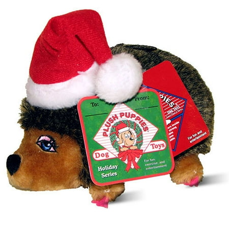 Holiday Girl Hedgehog