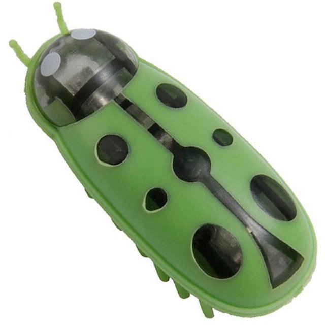 Bangcool Kitten Play Toy Ladybird Automatic Funny Kitten Chasing Toy Cat Interactive Toy