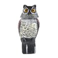 thumbnail image 1 of Generic Owl Prowler Decoy Scarecrow Rotating Head Sound Protection Garden Yard, 1 of 7