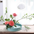 thumbnail image 5 of New Arrivals 12PCS Flower Frogs for Arrangements Vase Plastic Pin Frog Clear 2.76 Inch Pins Floral, 5 of 7