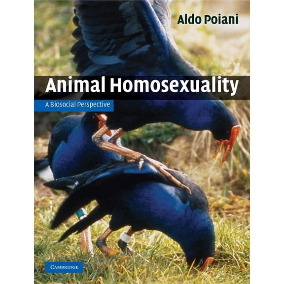 Animal Homosexuality: A Biosocial Perspective, (Hardcover)
