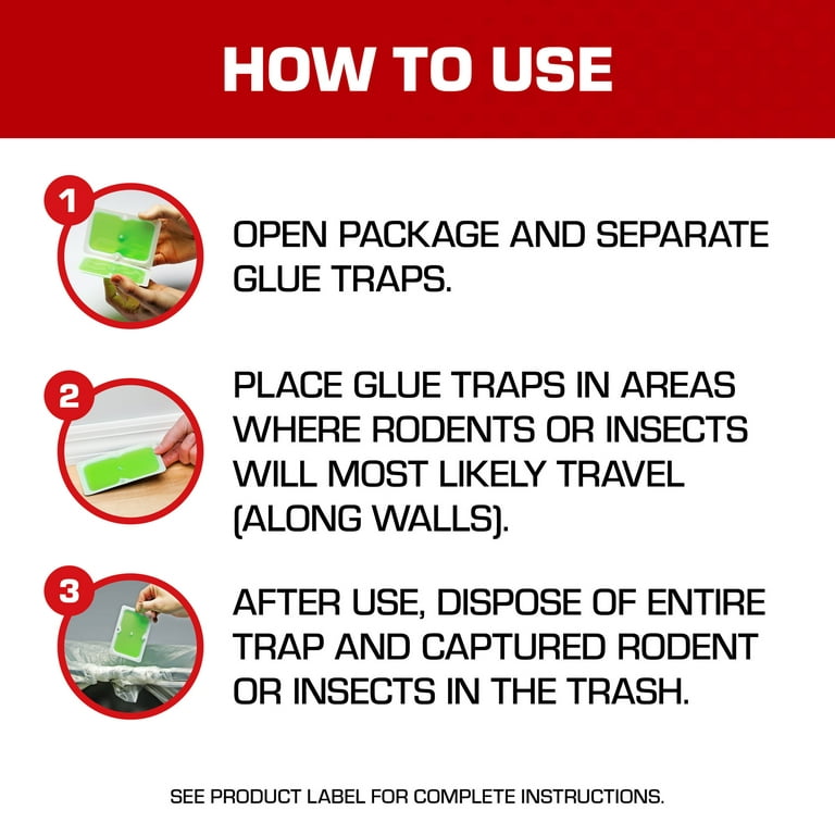 6 Steps to Save Animals Stuck on Glue Traps
