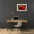 thumbnail image 3 of Illg, Cathy and Gordon 32x23 White Modern Wood Framed Museum Art Print Titled - Hawaii, The Big Island Ginger blossom, 3 of 4