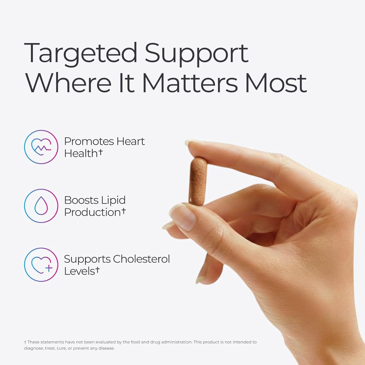 Livingood Daily Cholesterol Support with Garlic, Plant Sterols, CoQ10, Vitamin E & Bergamot for Heart Health, 60 Capsules