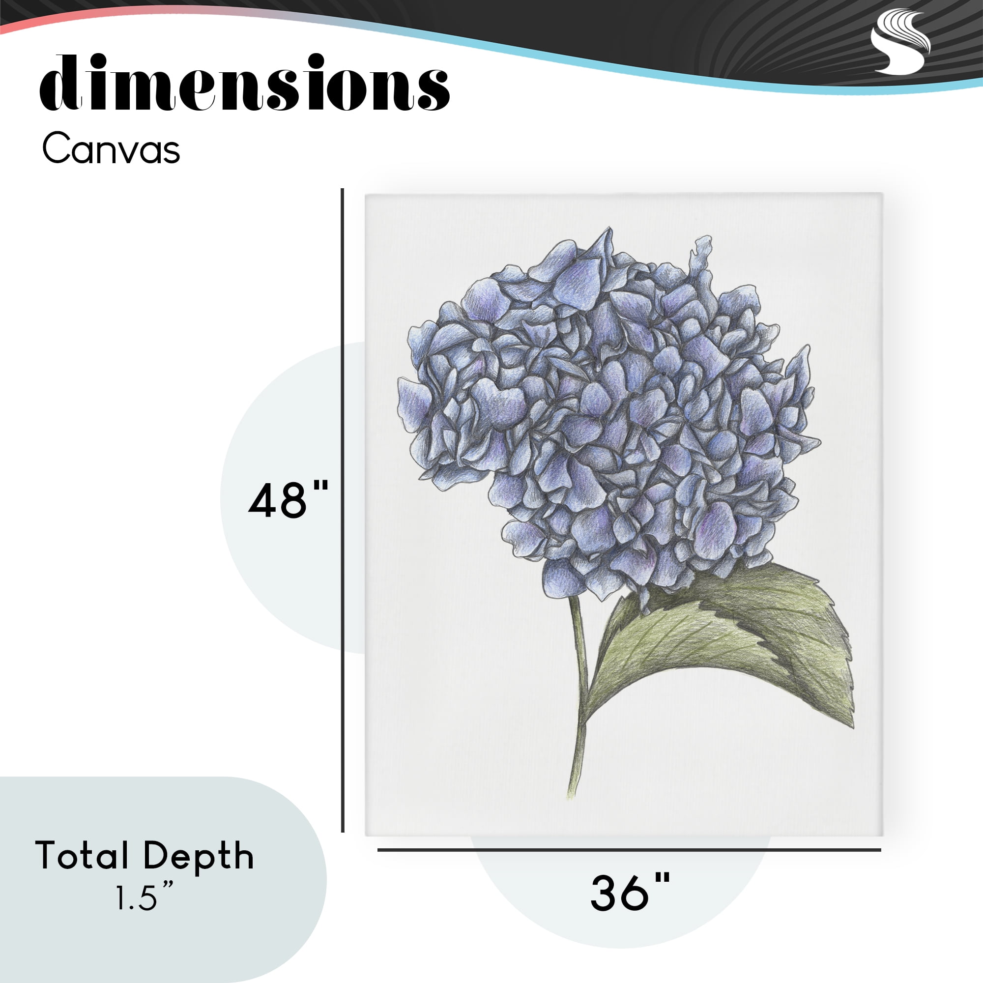 Hydrangea Sketch Blossom Canvas Wall Art, design by Cecilia Battaini