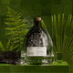 thumbnail image 3 of Mezcal Luz de Olvido Tobalá Joven 750 ml, 3 of 6