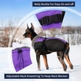 thumbnail image 3 of Abrigo para perros IECoII, extra cálido, reflectante, ajustable, para invierno, morado, 3 of 7